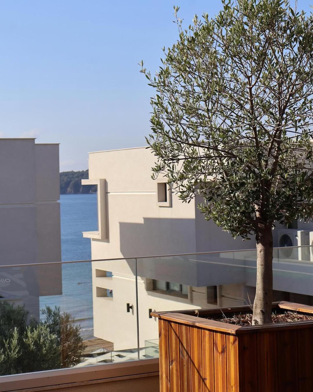 Olive Villas Beach Hotel Sozopol Exterior photo